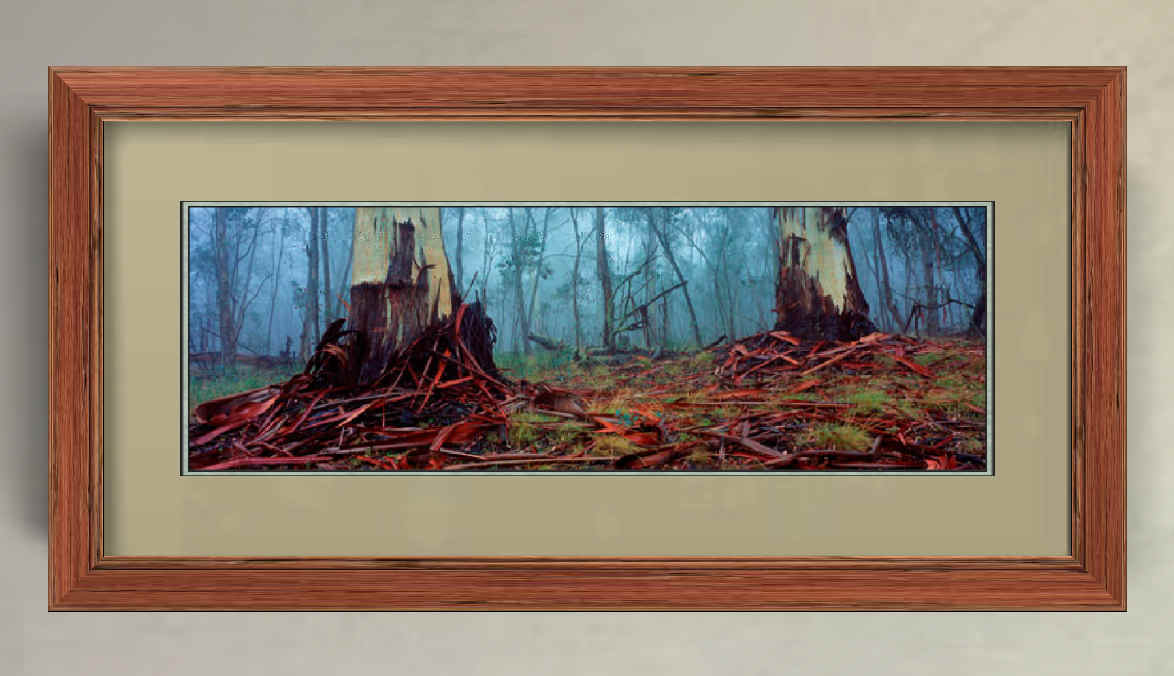 photo framer photo framer